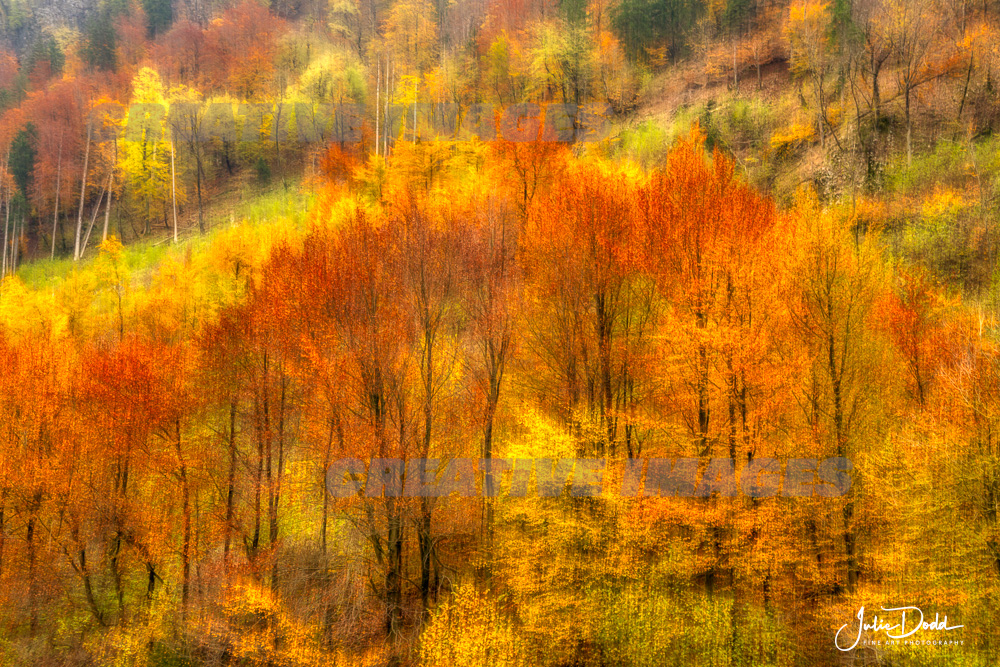 Julian Alps